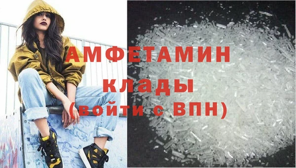 амф Няндома