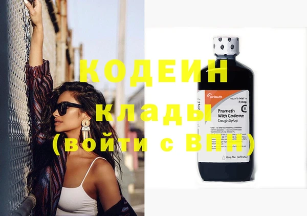 амф Няндома