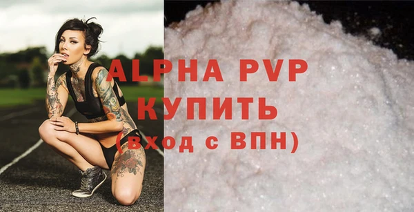 стафф Новокубанск