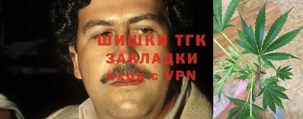 амф Няндома
