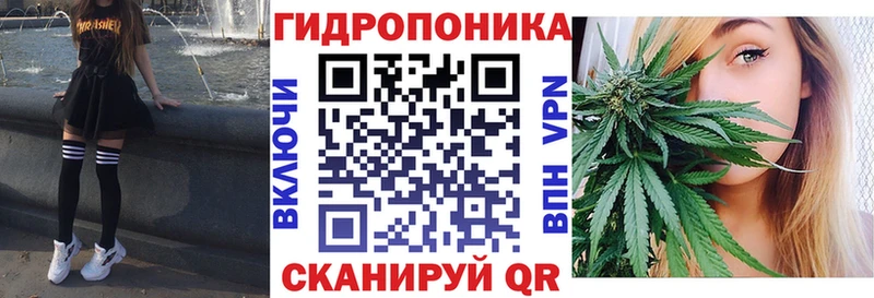 купить наркотики цена  Бодайбо  Шишки марихуана конопля 